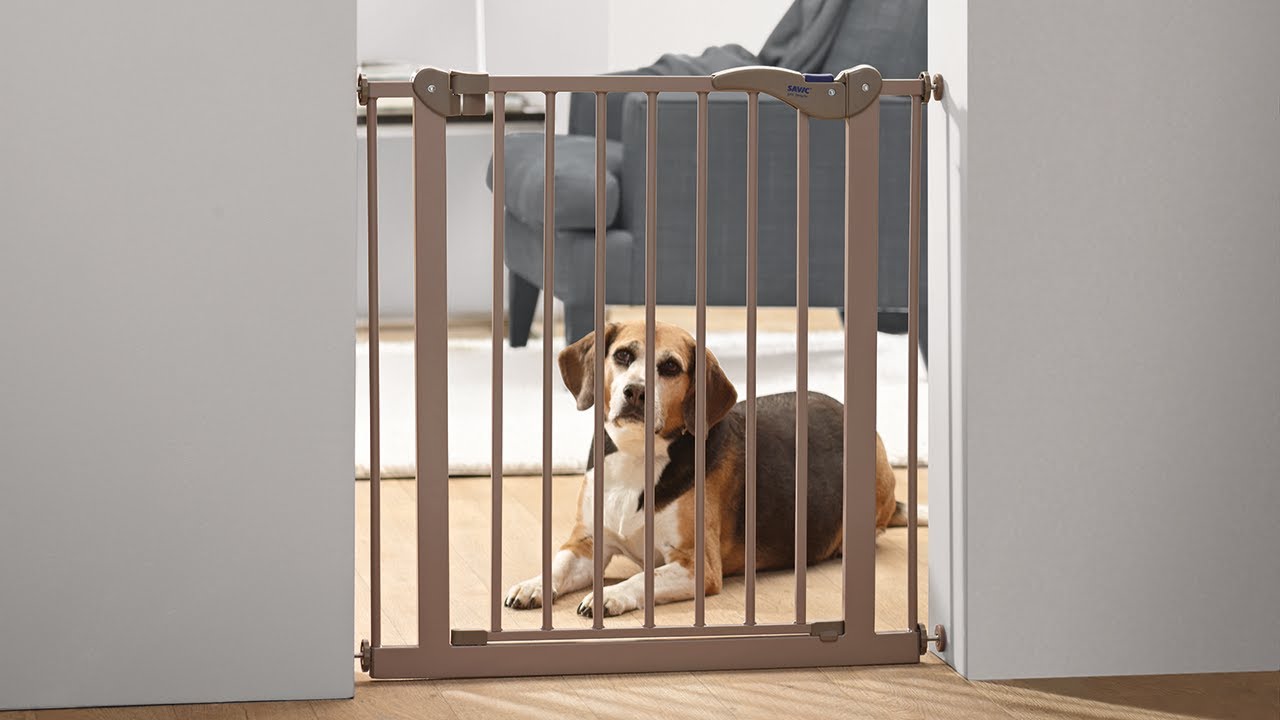 Hundetilbehør