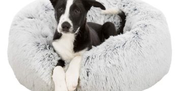 Hundesenge